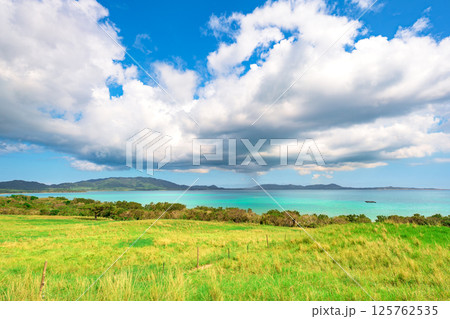 石垣島の自然を満喫できる開放的な景色 125762535