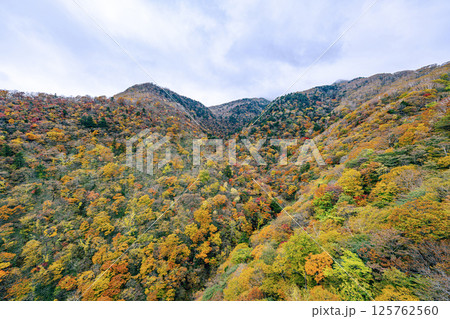 紅葉と雲が織りなす奥日光の自然美 紅葉と雲が織りなす奥日光の自然美 125762560