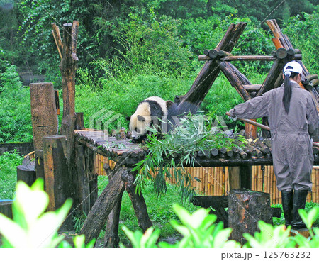 白亜のファサードの建物はサンタクローチェ聖堂はサンタ・クローチェ広場にあり、イタリアの代表的なゴシッ 白亜のファサードの建物はサンタクローチェ聖堂はサンタ・クローチェ広場にあり、イタリアの代表的なゴシッ 125763232