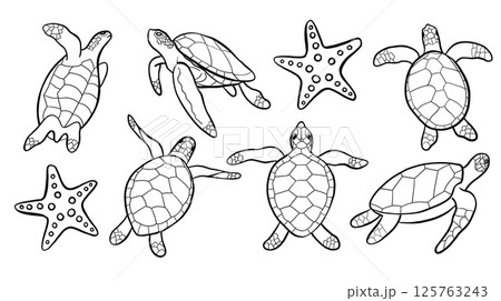 Sea Turtle Line Silhouette Vector Collection 125763243