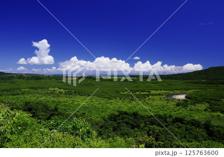 沖縄県西表島　仲間川展望台からの景色 125763600