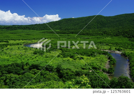 沖縄県西表島　仲間川展望台からの景色 125763601