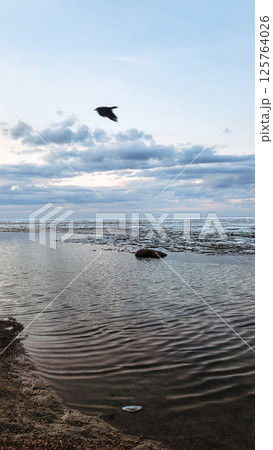 Spring landscape. Panoramic view of beautiful dawn on bay. Cumulus clouds over water in bright light. Ice, snow and rocks on coastline. Rising rays of sun are reflected in sea. Vertical photo. 125764026