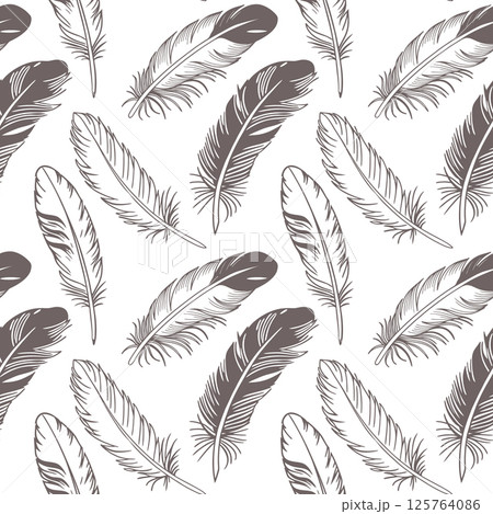 Seamless pattern with hand drawn elegant feathers. Illustration in grey and white colors. 125764086