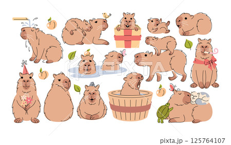 Cute capybara exotic animals doodle hand drawn characters isolated childish set on white background 125764107