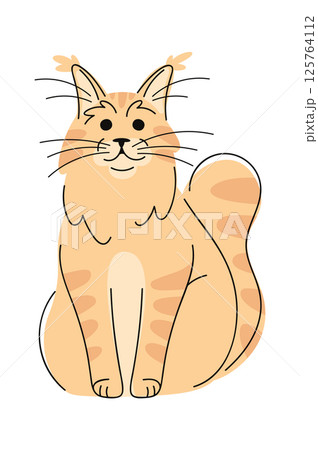 Maine-Coon cat hand drawn doodle 125764112