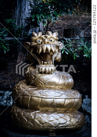 金色に輝く日光二荒山神社の龍神像 金色に輝く日光二荒山神社の龍神像 125764122
