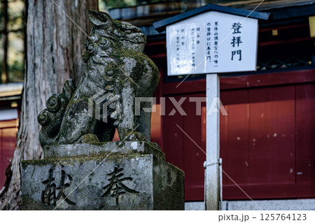 日光二荒山神社の参道を見守る狛犬像 日光二荒山神社の参道を見守る狛犬像 125764123