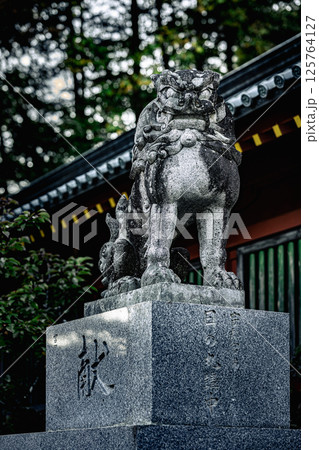 日光二荒山神社の参道を見守る狛犬像 日光二荒山神社の参道を見守る狛犬像 125764127