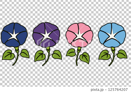 朝顔4色セットのイラスト｜夏の花・季節の装飾素材（透過PNG） 125764207