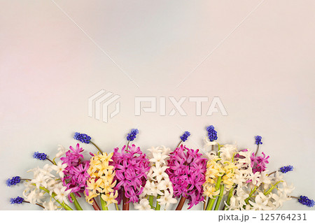 Beautiful banner of different varieties of hyacinths and muscari. Abstract flower arrangement for screen and design template with space for text. Spring card, business card for product demonstration. 125764231