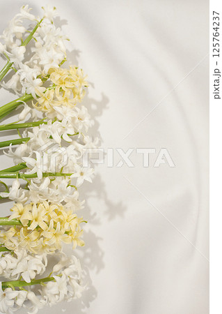 Beautiful flyer made of different varieties of hyacinths. Abstract flower arrangement for screen and design template. Spring card, business card for product demonstration, gift for loved ones Beautiful flyer made of different varieties of hyacinths. Abstract flower arrangement for screen and design template. Spring card, business card for product demonstration, gift for loved ones 125764237