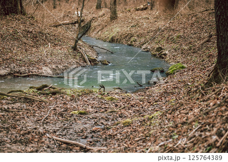 Landscape of an unusually snow-less february day in forest, frozen winter stream 125764389