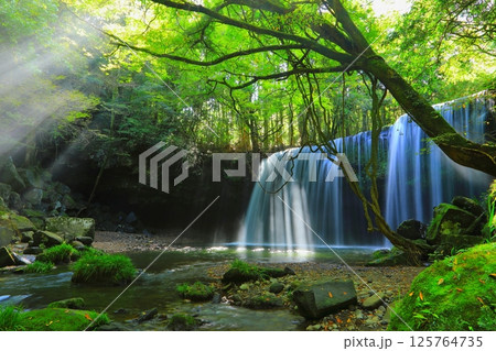 光さす鍋ヶ滝（熊本県小国町） 125764735