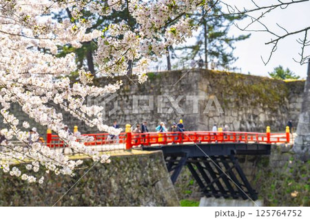 満開の桜と鶴ヶ城(会津若松城)の廊下橋 福島県会津若松市 満開の桜と鶴ヶ城(会津若松城)の廊下橋 福島県会津若松市 125764752