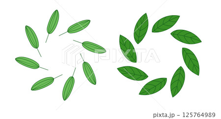 Green round frames from simple leaves. 125764989