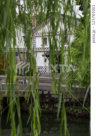 緑あふれる庭園 緑あふれる庭園 125765001