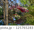 亀戸天神社の藤棚 125765283