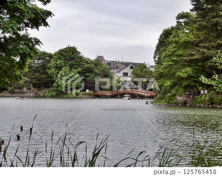 雲かかる23年前の洗足池(2002.5.6) 天気は曇りですが太鼓橋からウォーキング開始 125765458