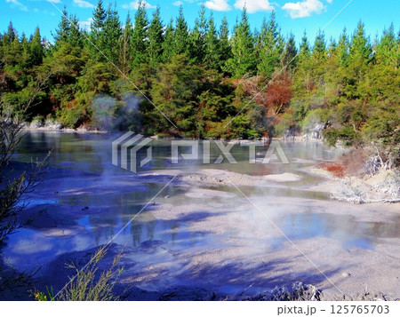 ニュージーランドロトルアのテプイアの泥 ニュージーランドロトルアのテプイアの泥 125765703