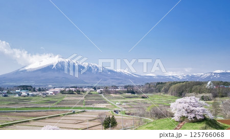 [岩手県]為内の一本桜と岩手山を望む 125766068