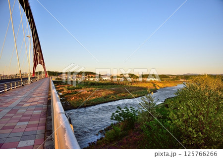 昭島市　初夏の朝日に映える多摩大橋 125766266
