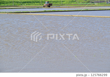 早々の田植え 代搔き 耕運機 西遊馬農耕地 田園風景 さいたま市 早々の田植え 代搔き 耕運機 西遊馬農耕地 田園風景 さいたま市 125766299