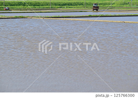 早々の田植え　代搔き　耕運機　西遊馬農耕地　田園風景　さいたま市　 125766300