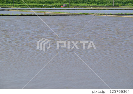 早々の田植え　代搔き　耕運機　西遊馬農耕地　田園風景　さいたま市　 125766364