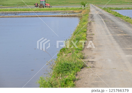 早々の田植え　代搔き　耕運機　西遊馬農耕地　田園風景　さいたま市　 125766379