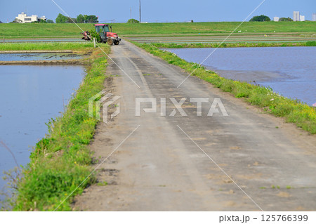 早々の田植え 代搔き 耕運機 西遊馬農耕地 田園風景 さいたま市 早々の田植え 代搔き 耕運機 西遊馬農耕地 田園風景 さいたま市 125766399