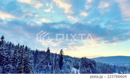 A Serene Winter Landscape Featuring Snowy Trees and Beautiful, Fluffy Clouds Above 125766604