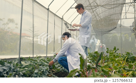 Two Biotechnology man engineer holding magnifying glass and looking at the vegetables leaf in hydroponics farm for disease, Professional researcher agriculture scientist use laptop computer 125766632