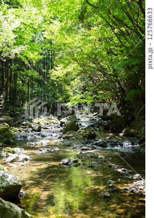 百間滝の上流（愛知県新城市） 125766633
