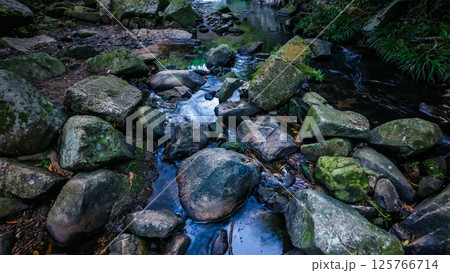Serene Forest Stream Flowing Over Rocks Amidst Lush Greenery Serene Forest Stream Flowing Over Rocks Amidst Lush Greenery 125766714