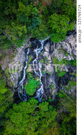 View of a Serene Waterfall Cascading Through Lush Green Forest View of a Serene Waterfall Cascading Through Lush Green Forest 125766724