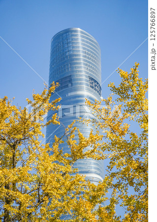 秋の上海 125766897