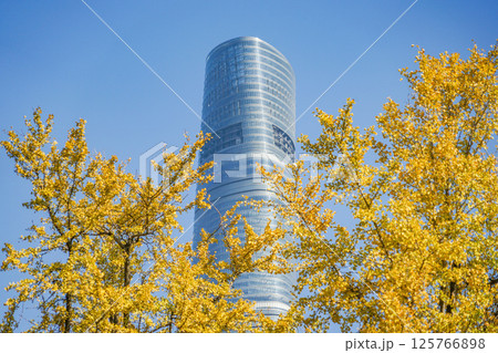 秋の上海 125766898