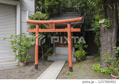 藏前神社 125766902