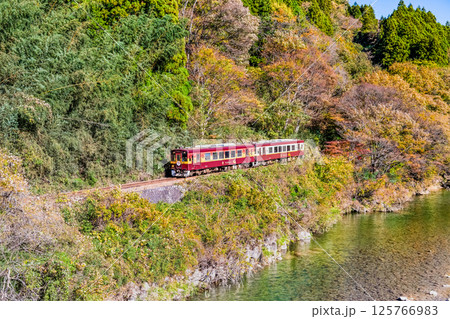わたらせ渓谷鐵道　紅葉の中を行く列車（小中-神戸） 125766983
