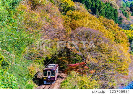 わたらせ渓谷鐵道　紅葉の中を行く列車（小中-神戸） 125766984