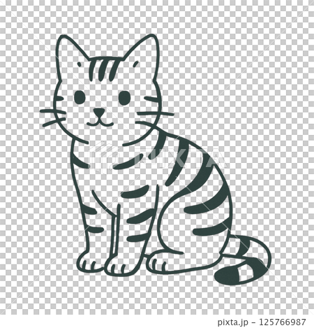 アメリカンショートヘアーの線画イラスト、アイコン、素材、背景なし、動物シリーズ 125766987