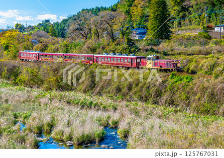わたらせ渓谷鐵道　紅葉の中を行くトロッコわたらせ渓谷号（小中-神戸） 125767031