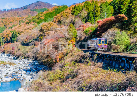 わたらせ渓谷鐵道　紅葉の中を走る列車（沢入付近） 125767095