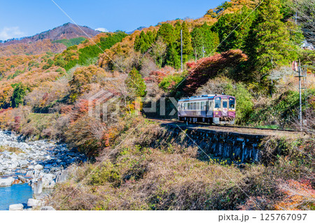 わたらせ渓谷鐵道　紅葉の中を走る列車（沢入付近） 125767097