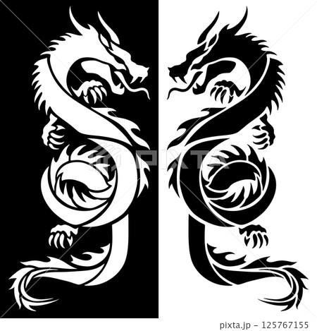 向き合った2頭の龍のシルエット 白黒背景 125767155