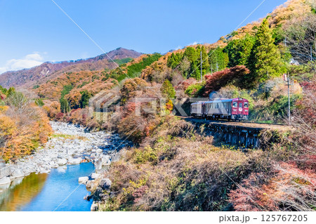 わたらせ渓谷鐵道　紅葉のわたらせ渓谷を走る列車（沢入付近） 125767205