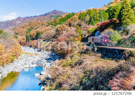 わたらせ渓谷鐵道　紅葉のわたらせ渓谷を走る列車（沢入付近） 125767206