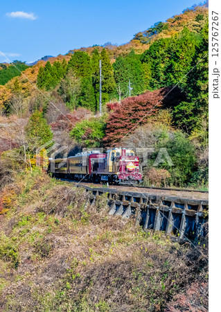 わたらせ渓谷鐵道　紅葉のわたらせ渓谷を走るトロッコわたらせ渓谷号（沢入付近） 125767267