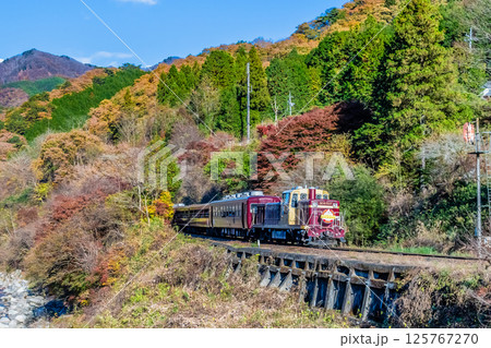 わたらせ渓谷鐵道　紅葉のわたらせ渓谷を走るトロッコわたらせ渓谷号（沢入付近） 125767270